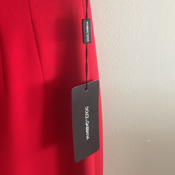 Dolce & Gabbana Red Sleeveless Sheath Dress - Picture 6 of 12